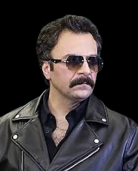 حسام منظور